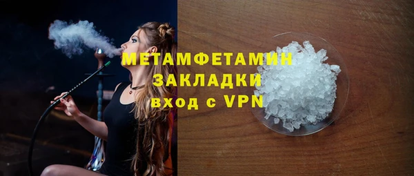 прущие грибы Надым
