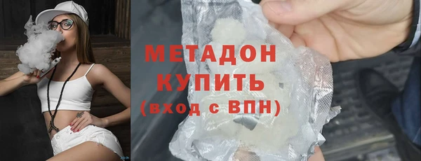 прущие грибы Надым