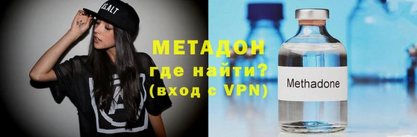 прущие грибы Надым