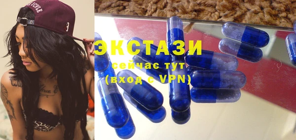 прущие грибы Надым
