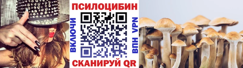Купить где  Рошаль  Галлюциногенные грибы прущие грибы 