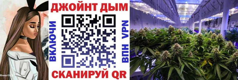 Бошки марихуана ГИДРОПОН  Купить  Рошаль 