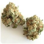 Шишки "White Widow"  (Белая вдова)  Гидропоника -  Бошка VHQ в Рошале